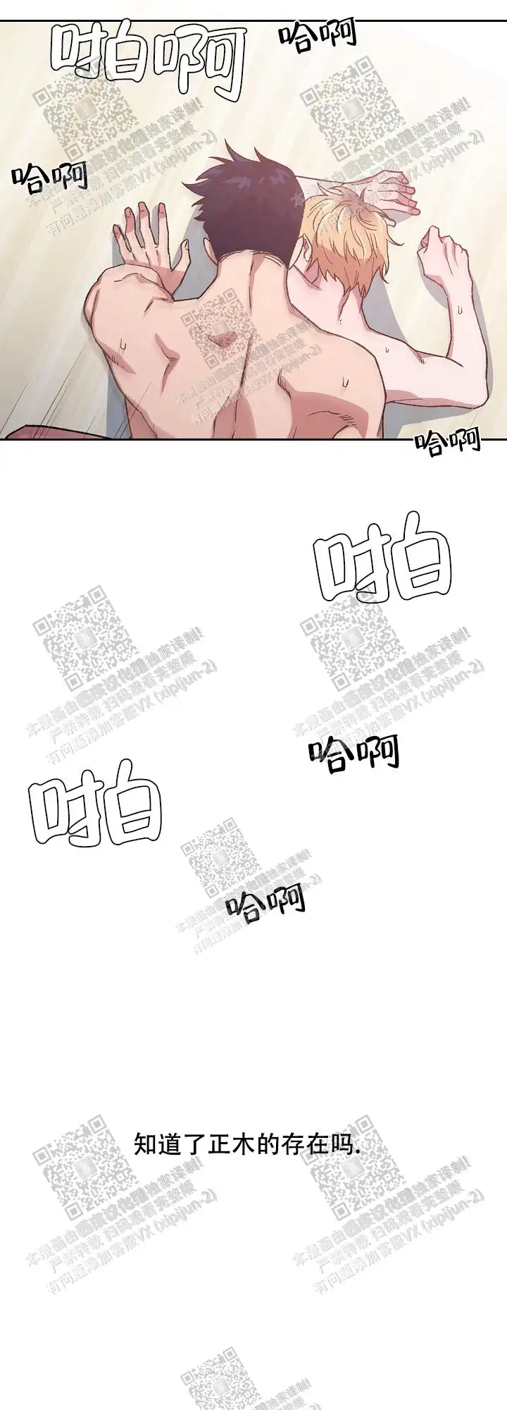 第50话 第20页