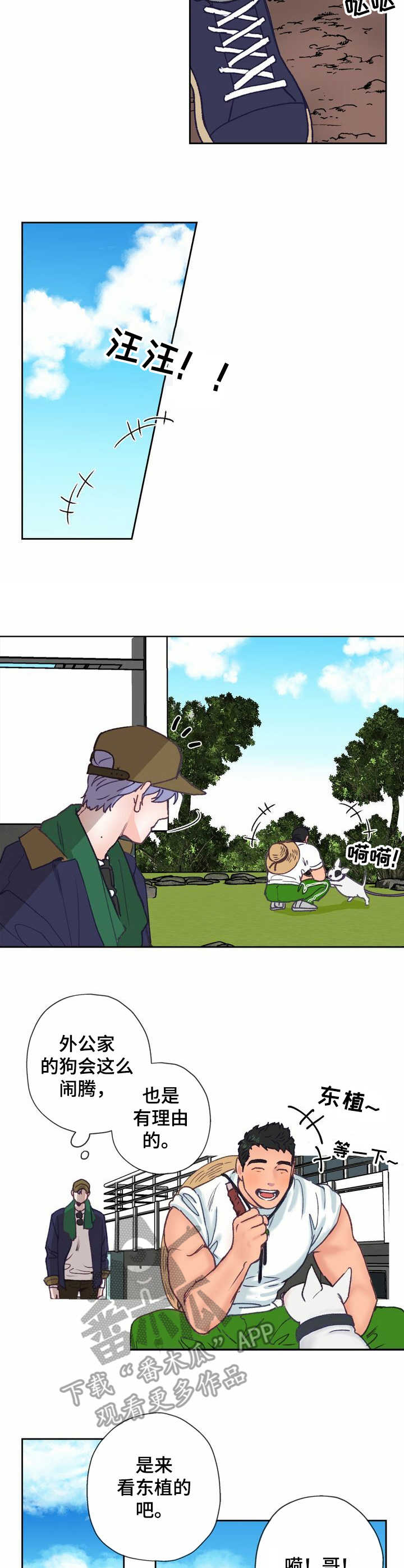第8话 第10页