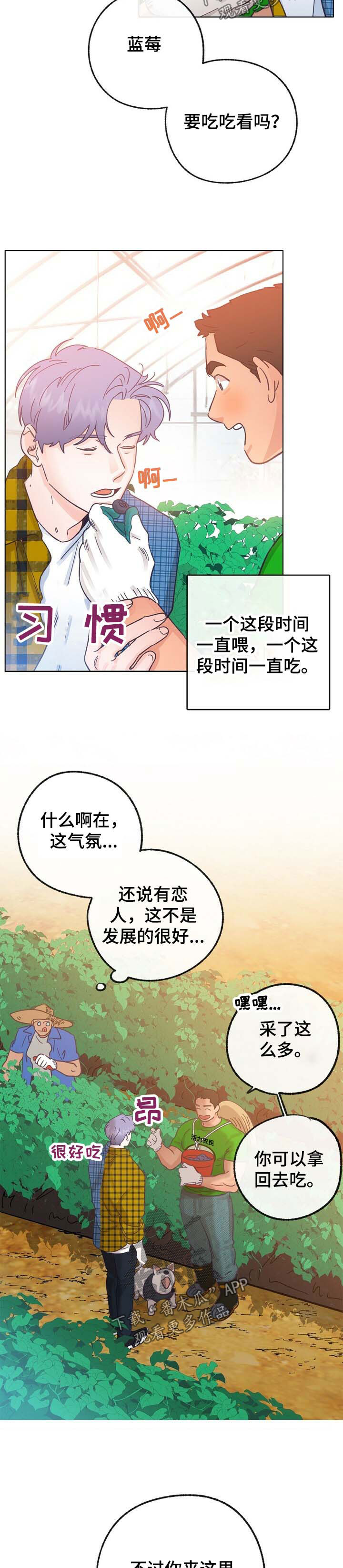 第42话 第7页