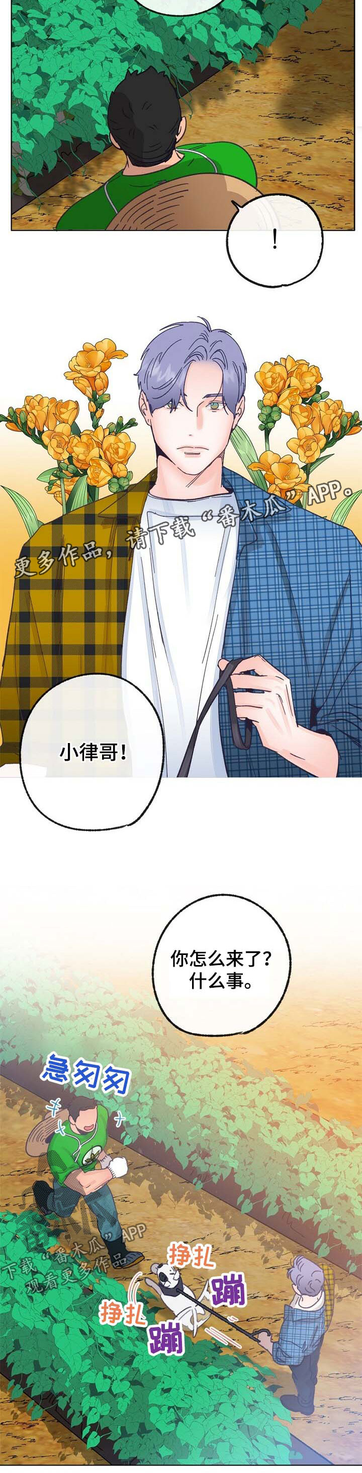 第42话 第5页