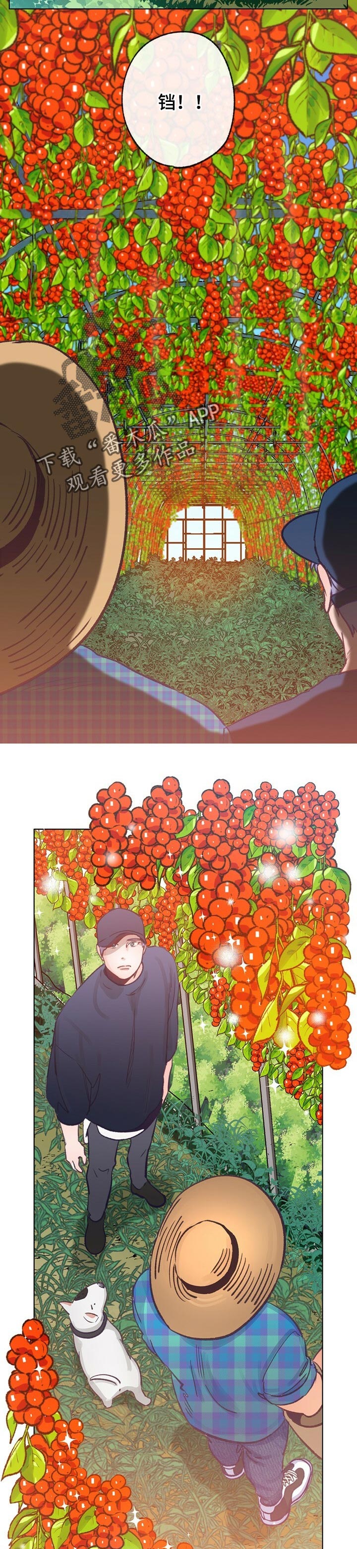 第61话 第3页