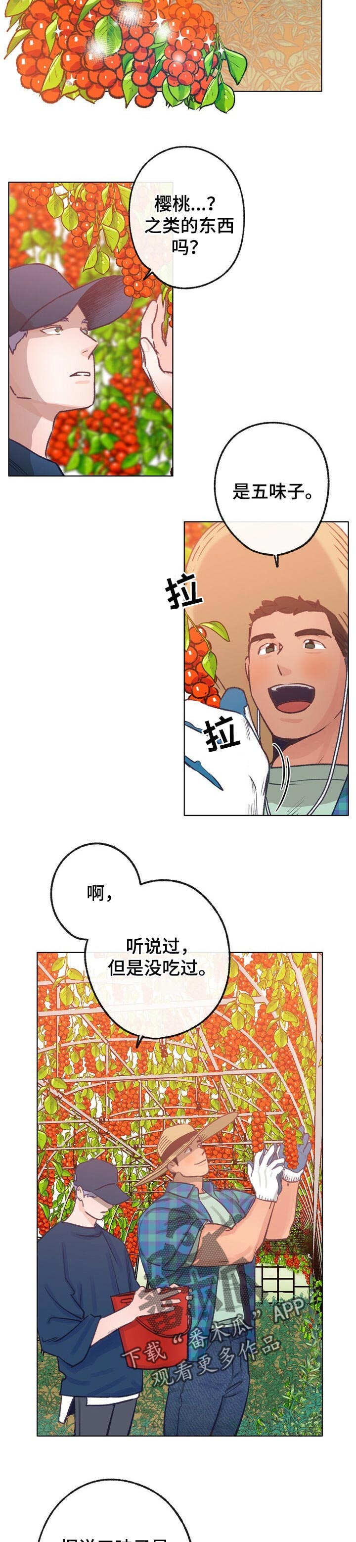 第61话 第4页