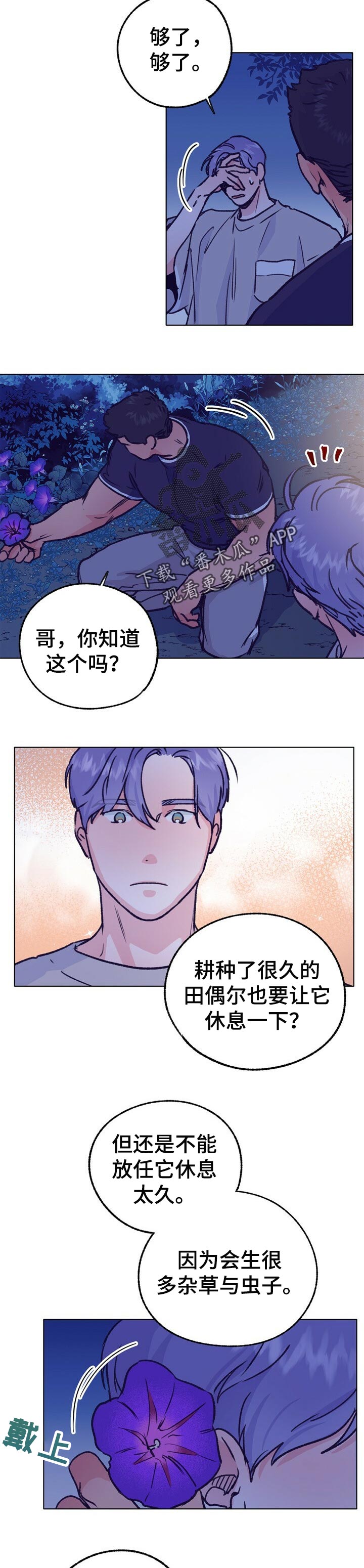 第78话 第8页