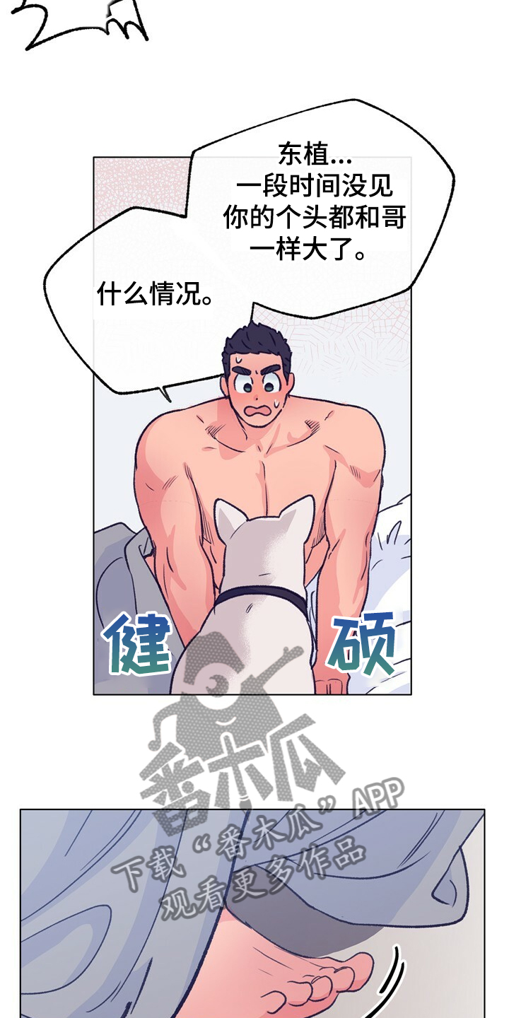 第127话 第5页