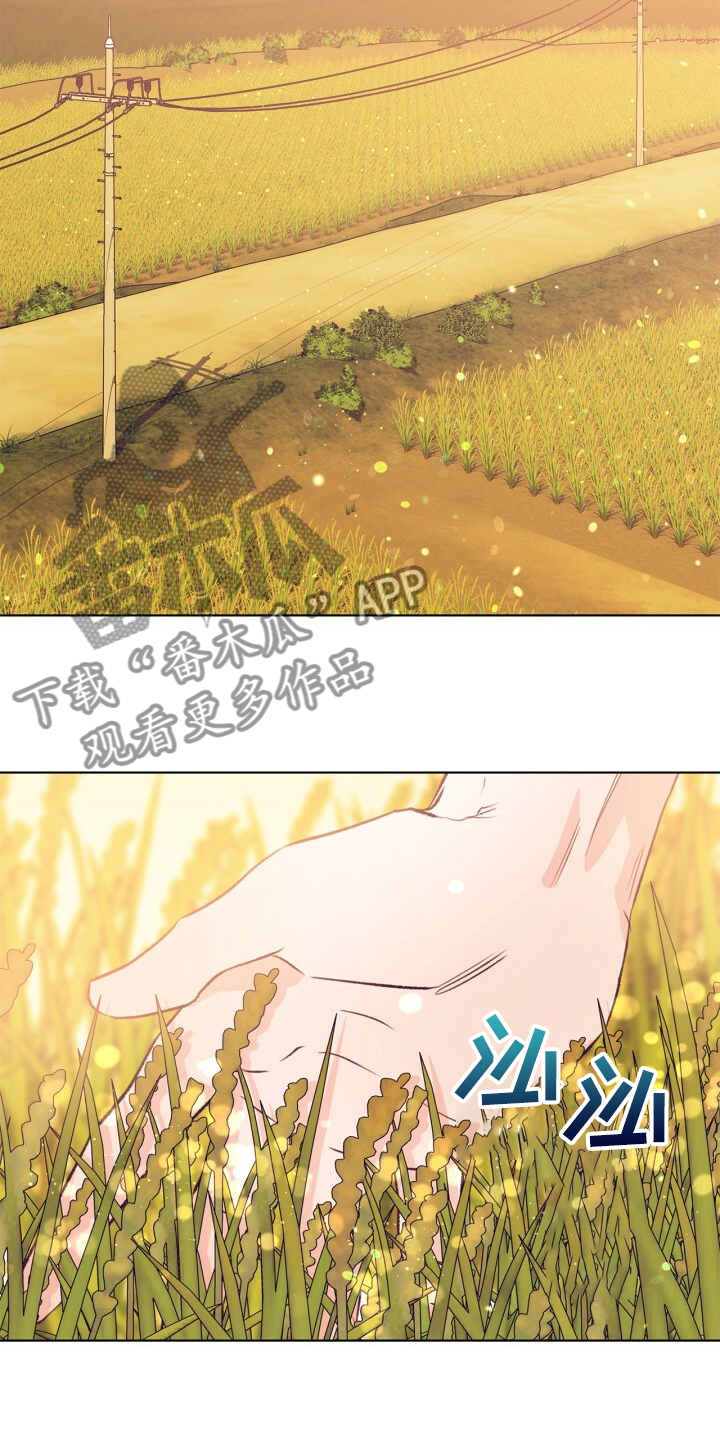 第141话 第3页