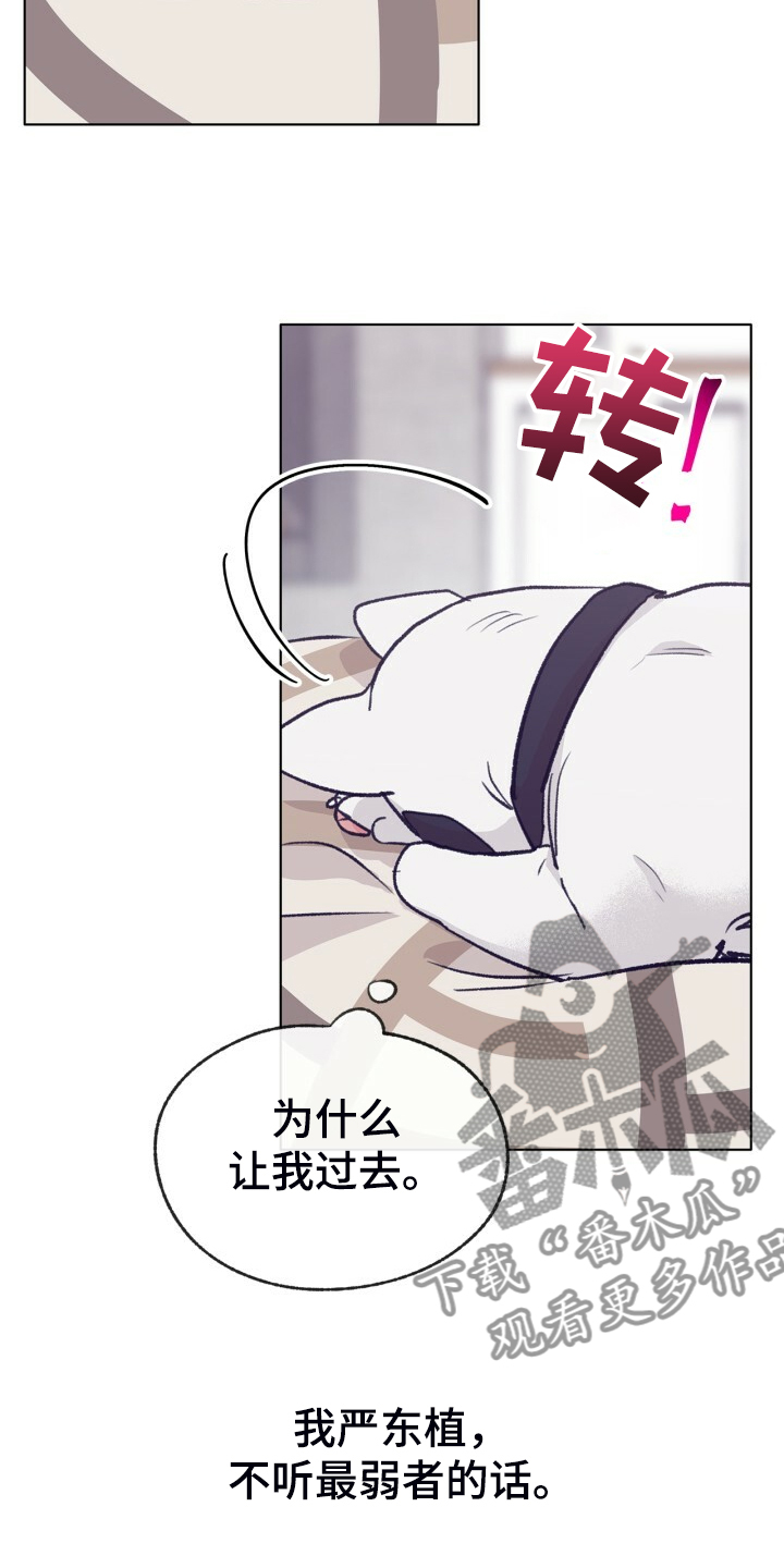 第154话 第20页
