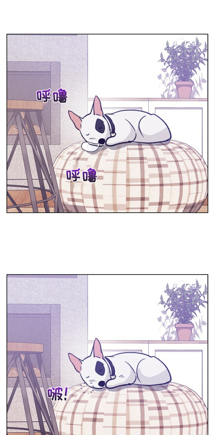 第154话 第17页