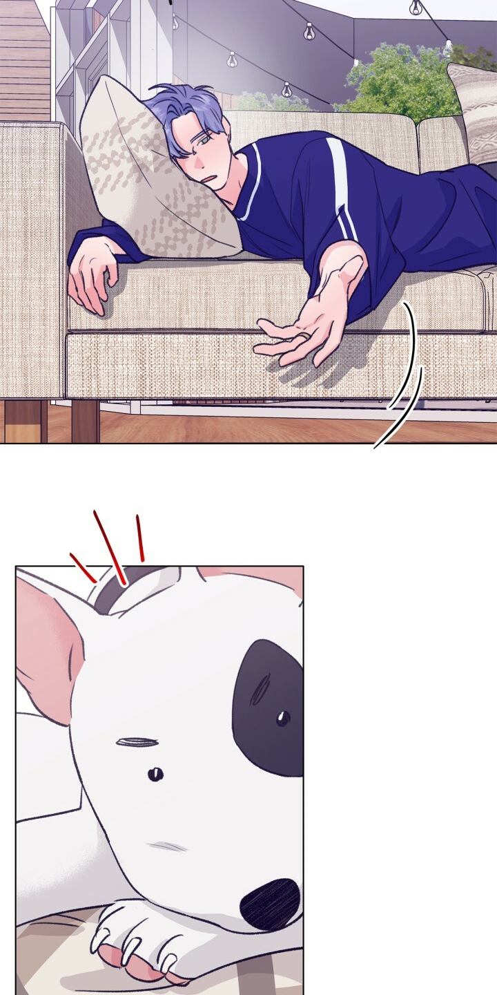 第154话 第19页