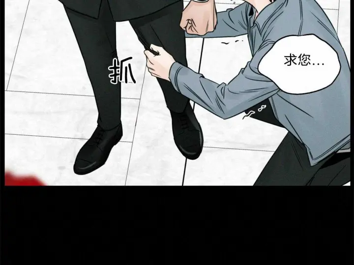 第79话 第43页