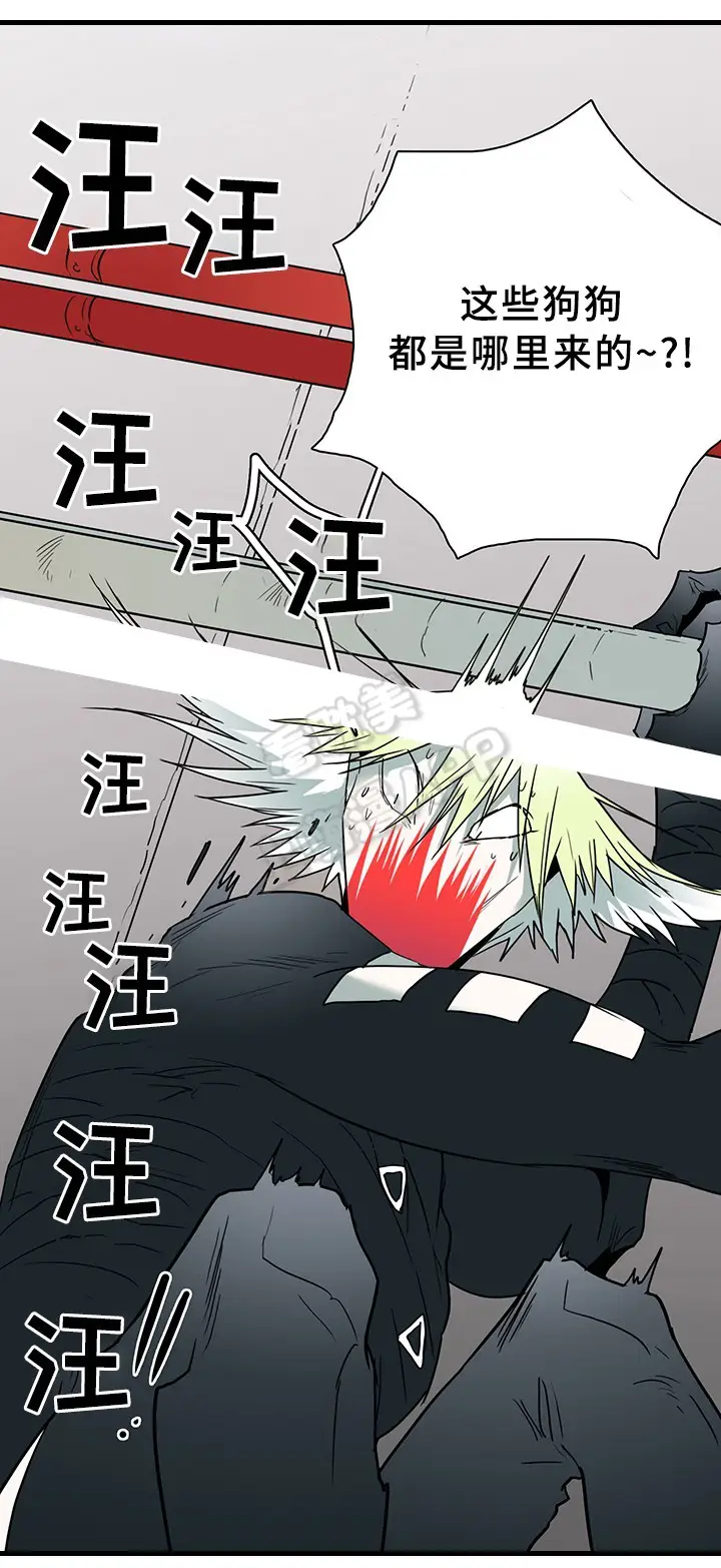第103话 第11页