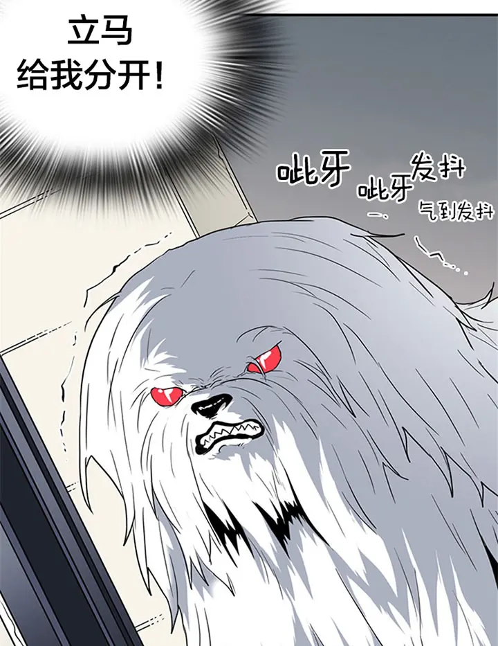 第125话 第3页
