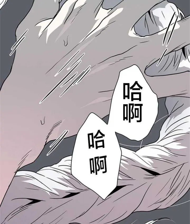 第146话 第28页