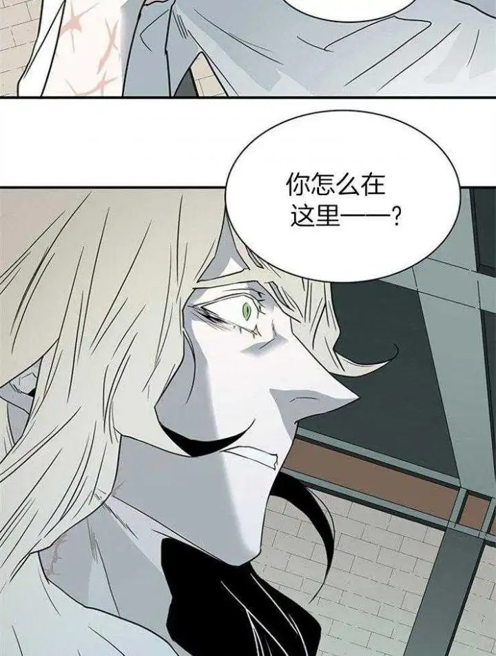 第215话 第5页