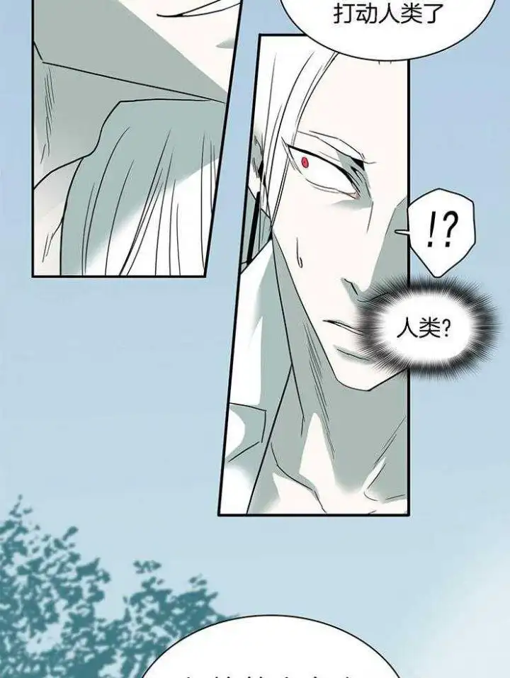 第218话 第28页