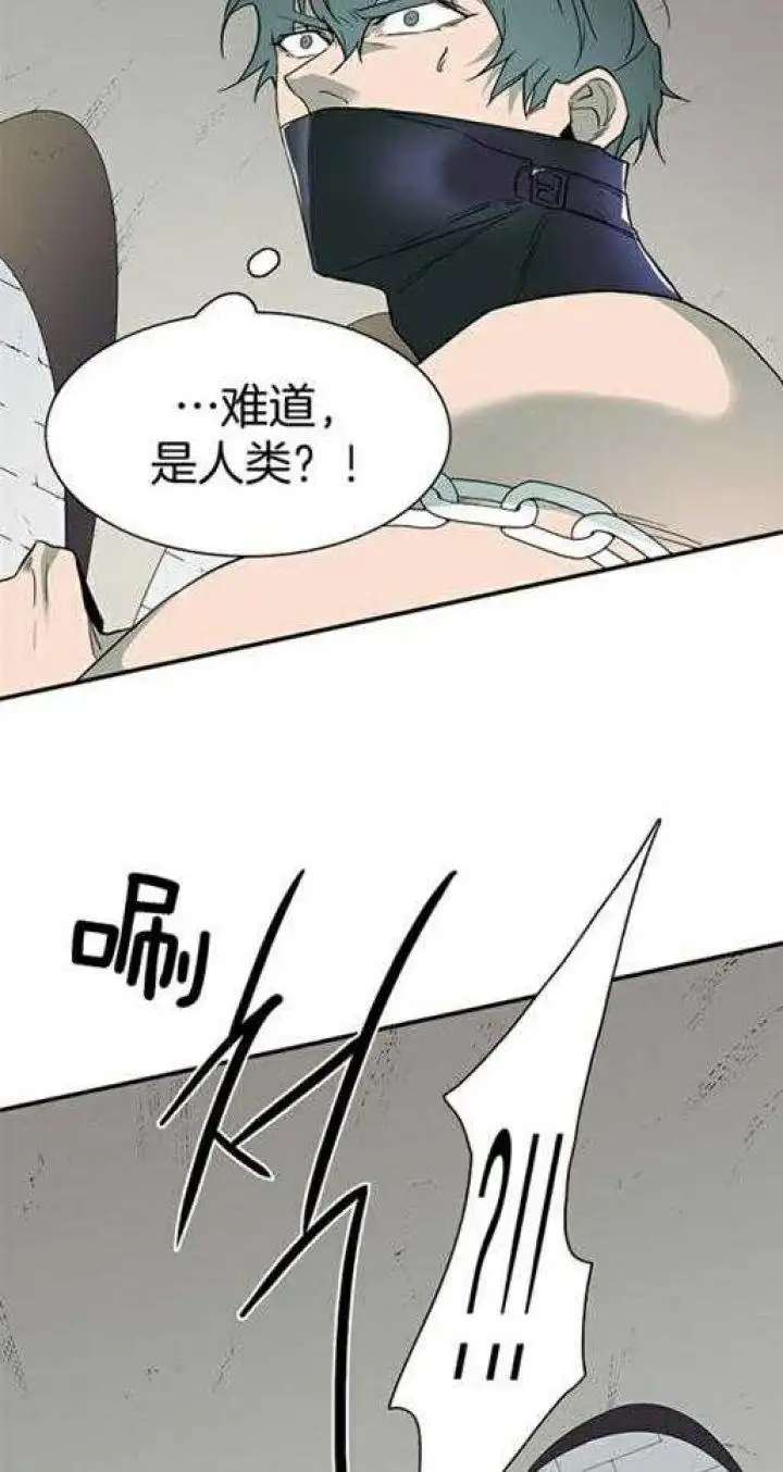 第219话 第14页