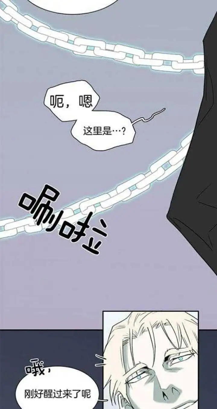 第219话 第7页
