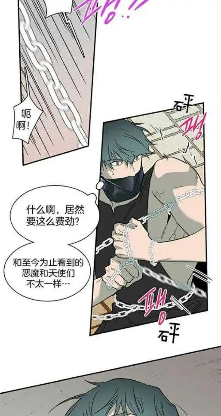 第219话 第13页