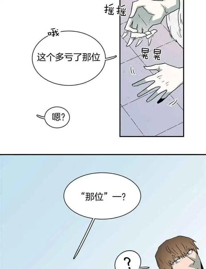 第228话 第13页