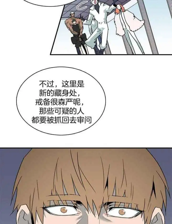 第228话 第16页