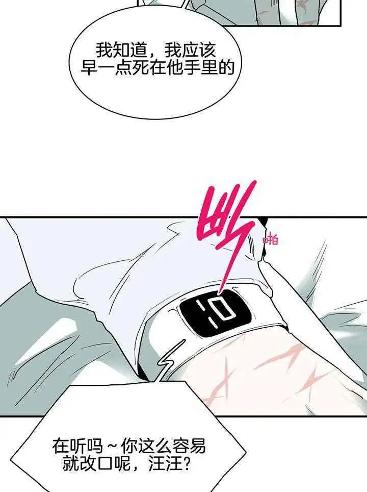第240话 第13页