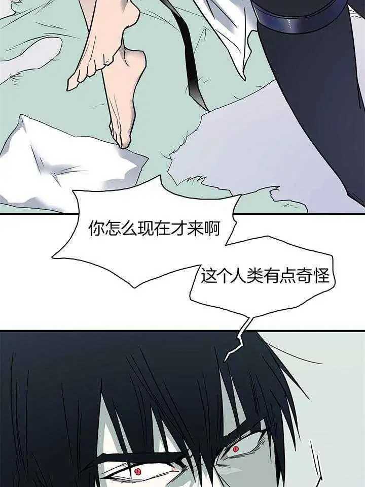 第244话 第43页