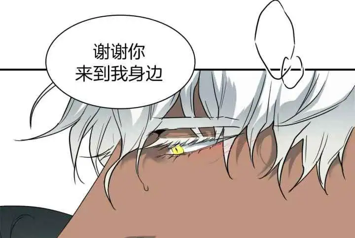 第246话 第17页