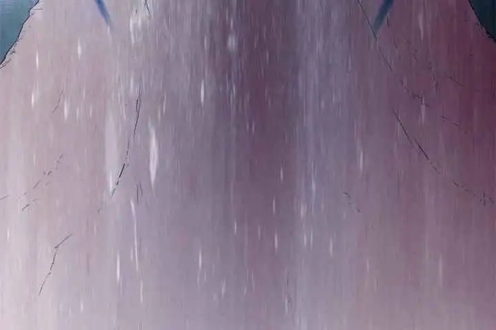 第249话 第33页