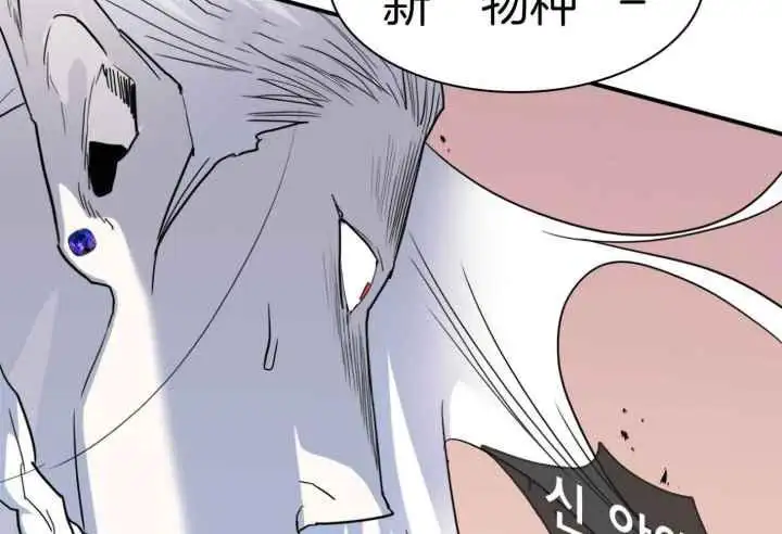 第251话 第12页