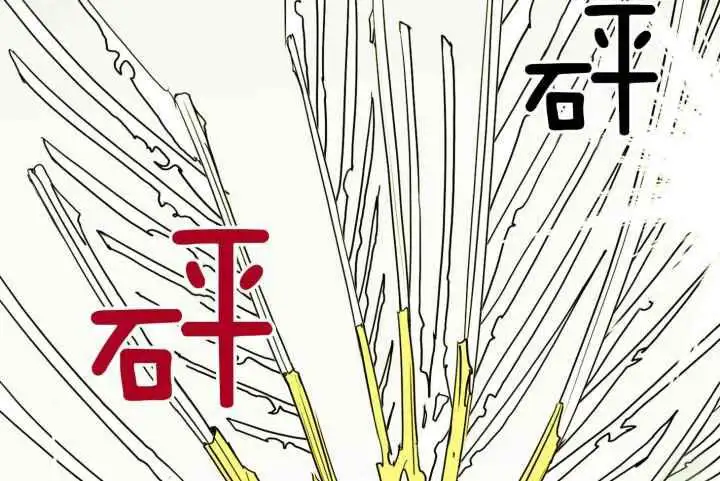 第252话 第71页