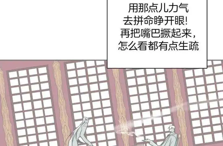 第255话 第82页