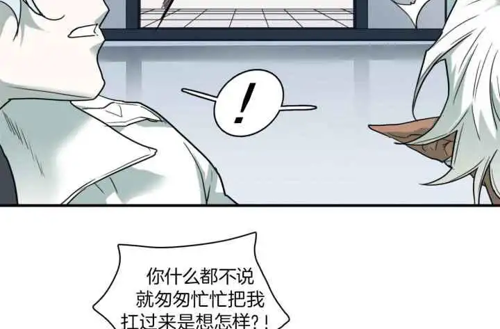 第256话 第36页