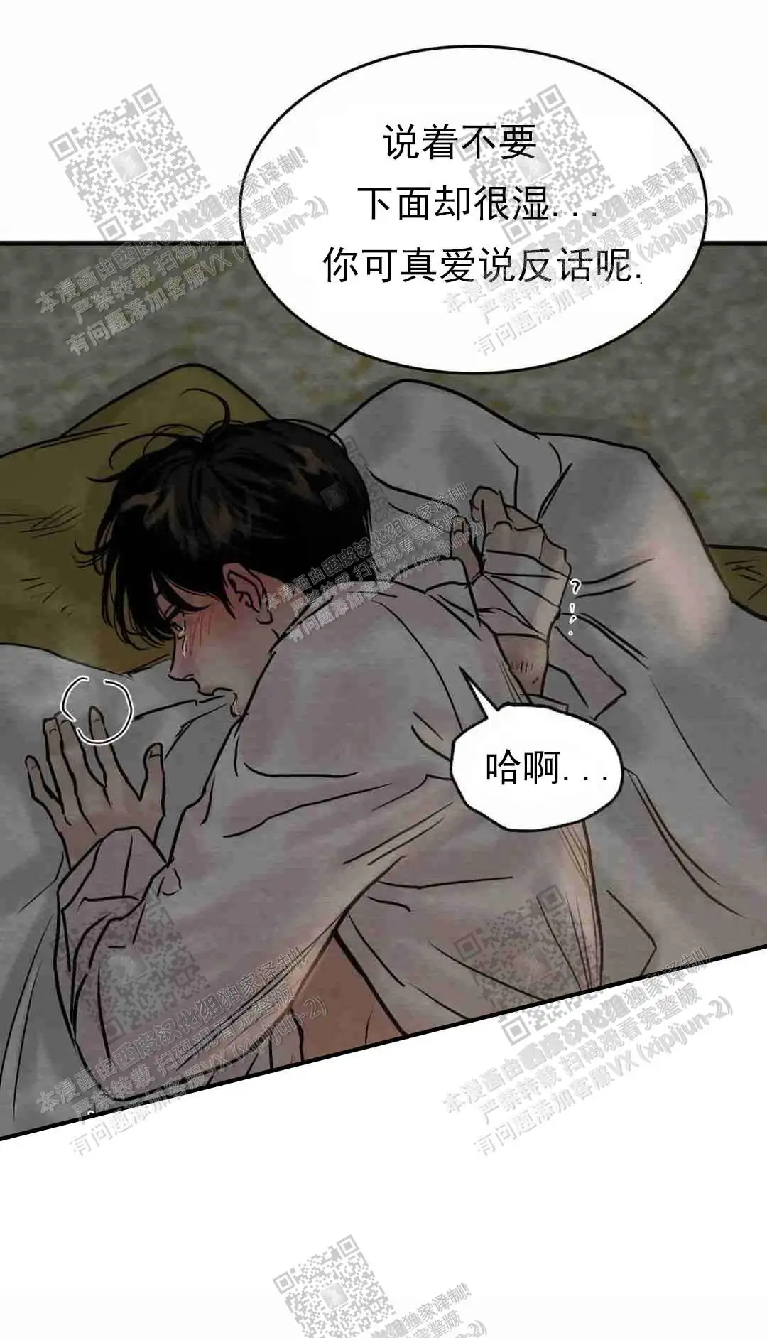 第117话3