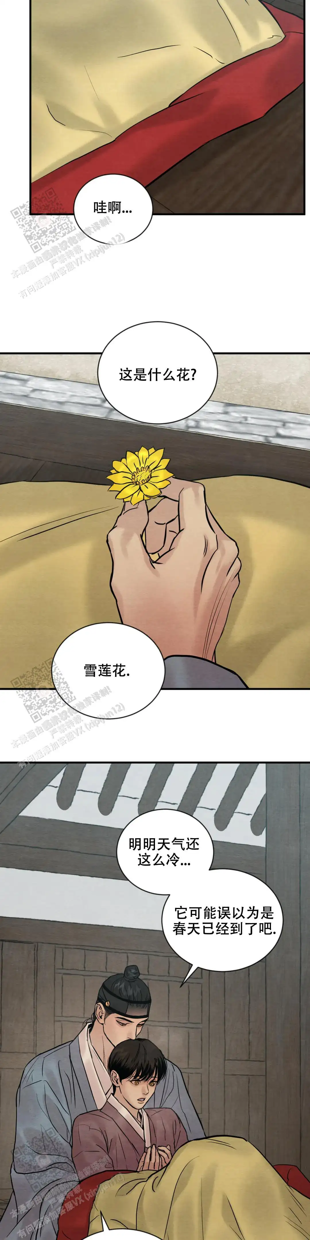 第204话 第14页