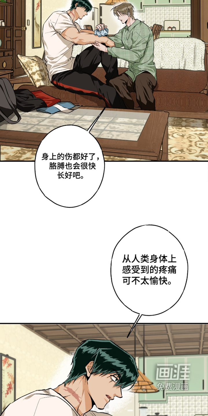 第19话18