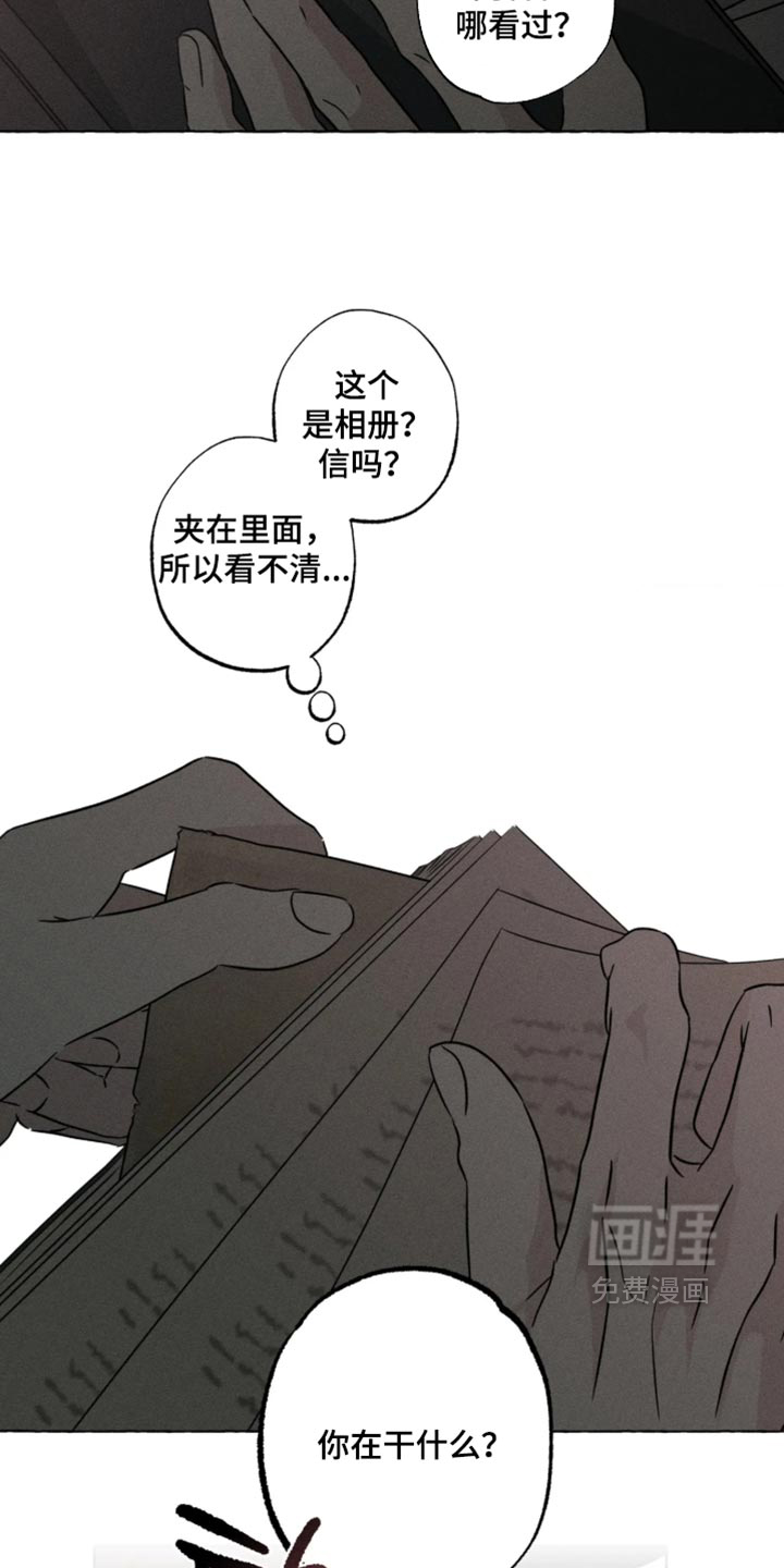 第180话11