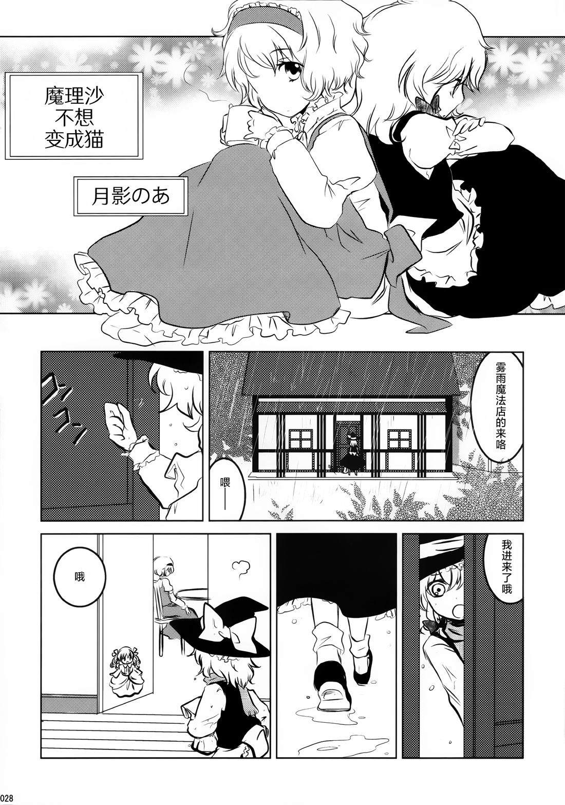 全一册27