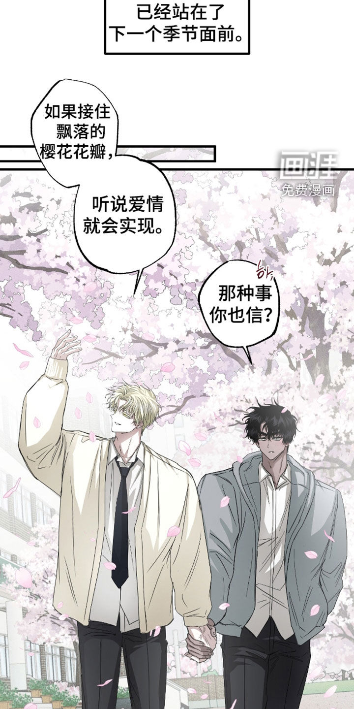 第54话14