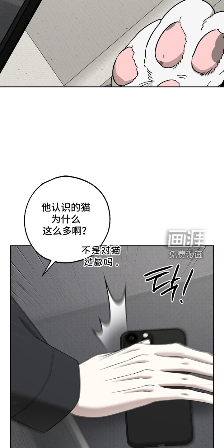 第89话17