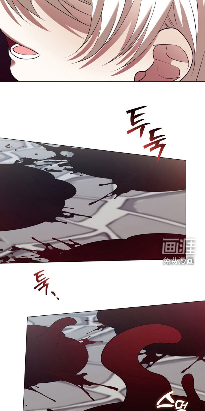 第117话24