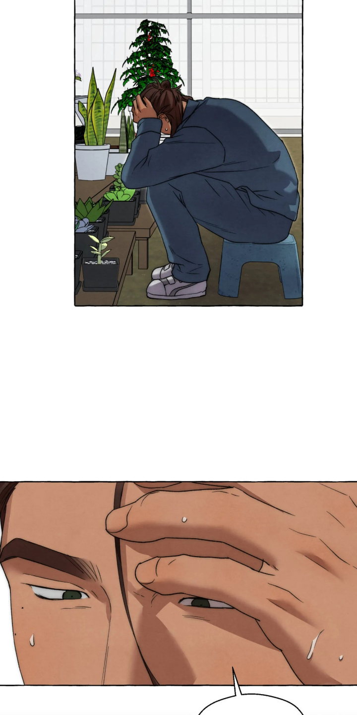 第185话12