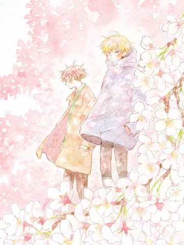 天降花信