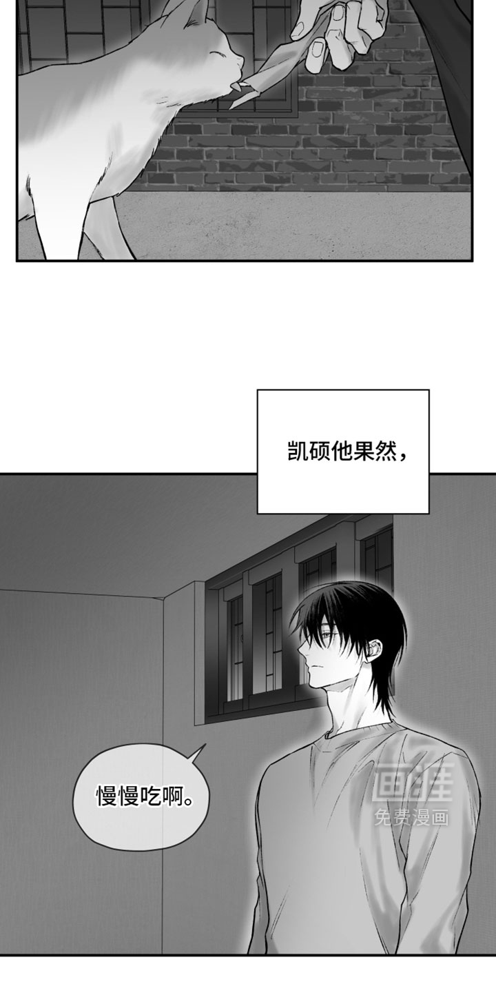 第29话3