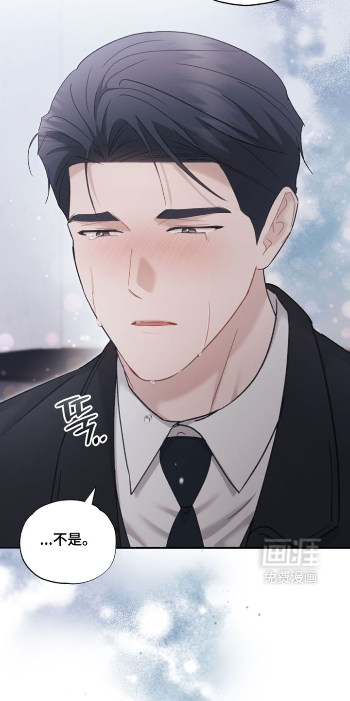 第204话19