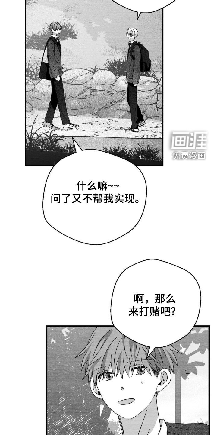 第119话11