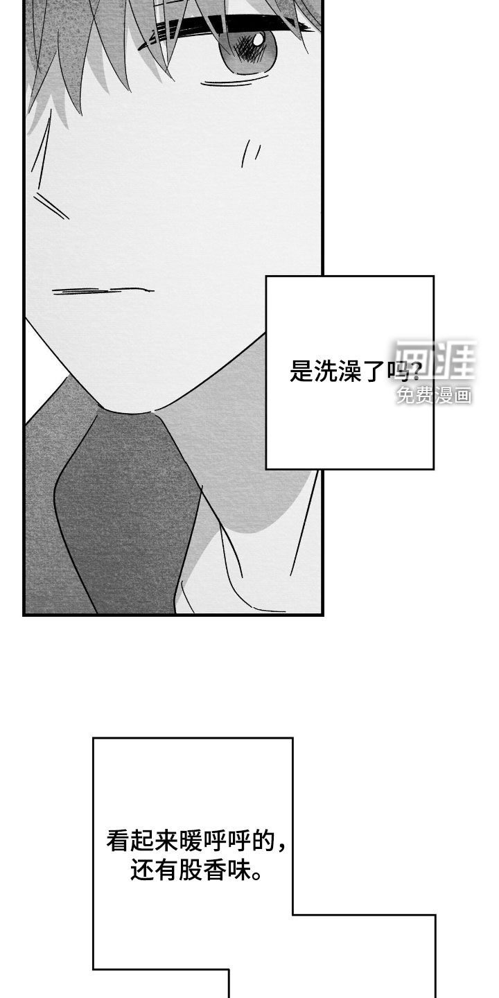 第118话11