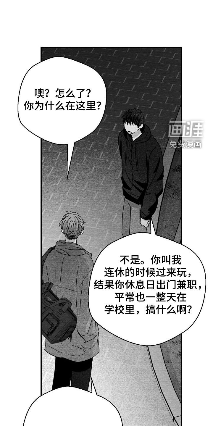 第117话4