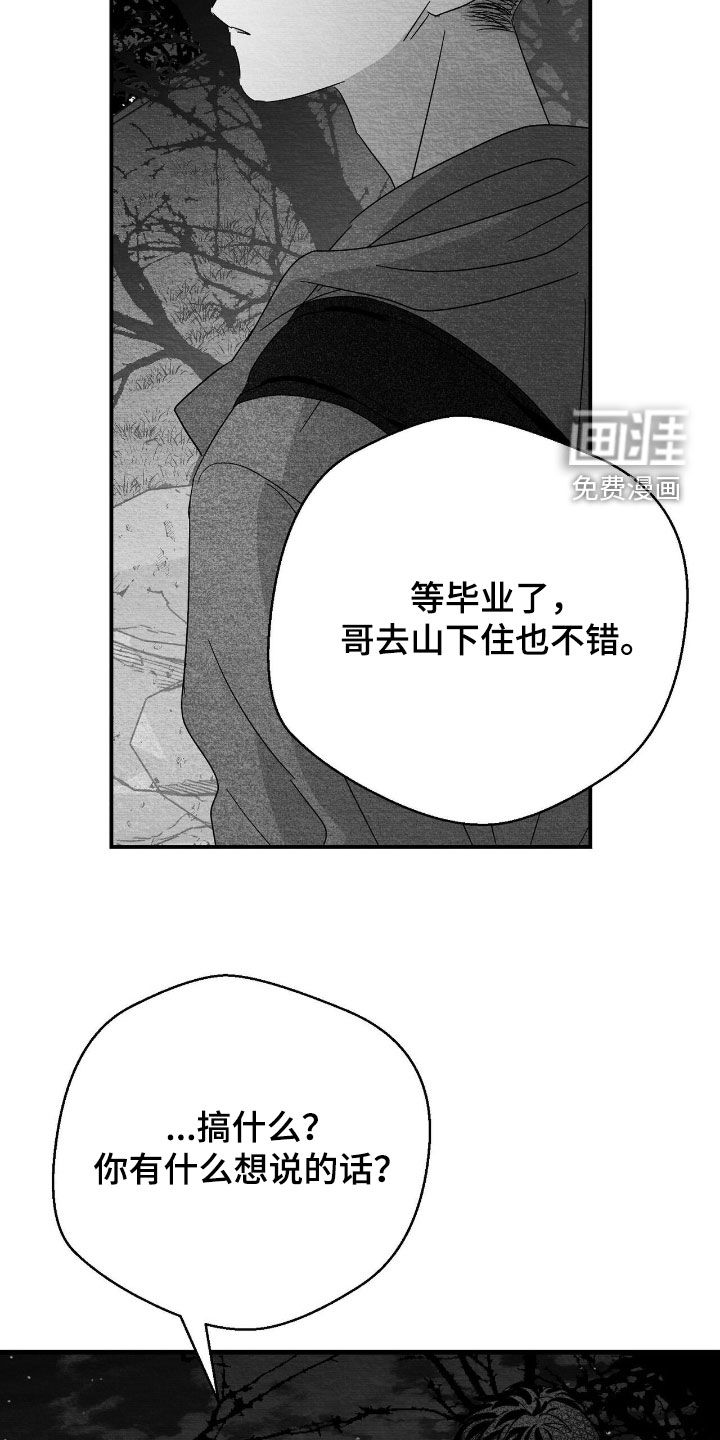 第117话11