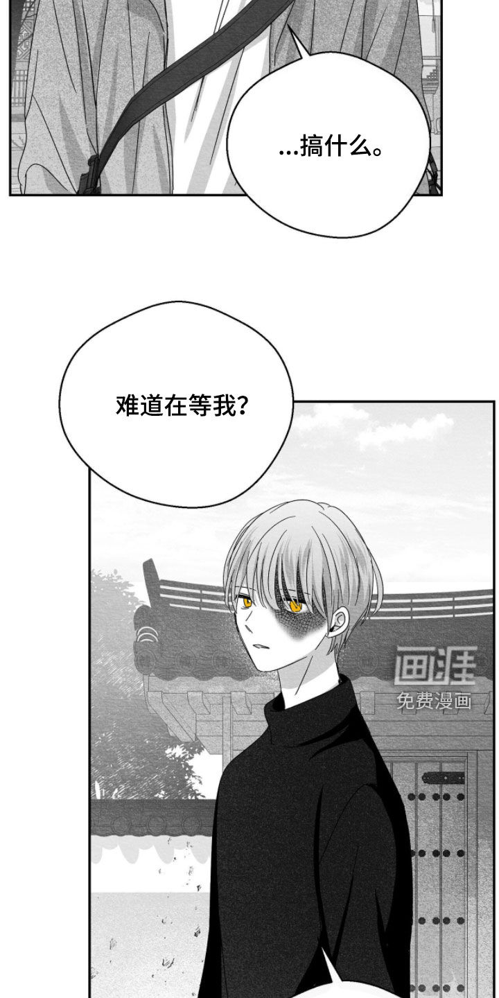 第116话18