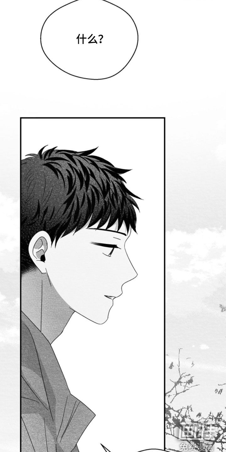 第115话30