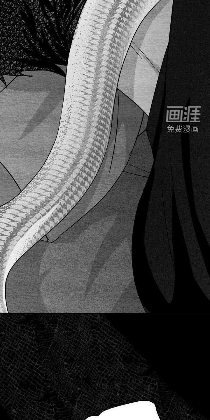 第114话14
